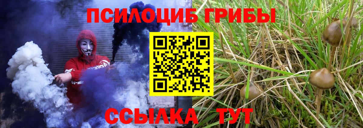 Галлюциногенные грибы Magic Shrooms Ирбит